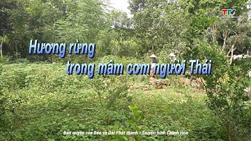 Sắc màu các dân tộc xứ Thanh: Hương rừng trong mâm cơm người Thái