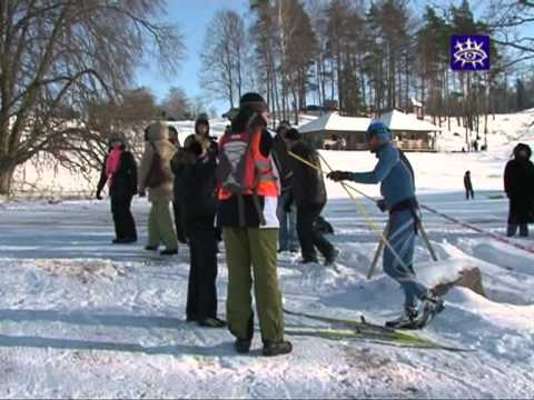 Video: Kurp Doties Suņu Kamanās