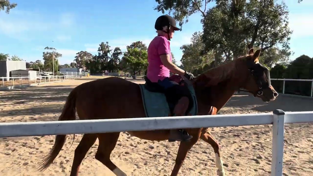 Jane Barnes Feb 2026 Prep 1a On Centre Line 