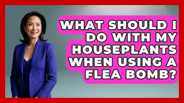 What Should I Do With My Houseplants When Using A Flea Bomb? - Insects and Invaders