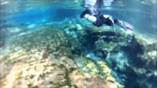 Sidemount Diving: Classic Bungees Vs. D-Ring Loop Bungees by Dive Rite
