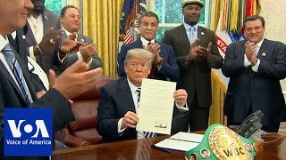 Trump pardons late boxer Jack Johnson