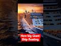 Why Don’t Giant Floating Ships Sink? #shiplovers #ship #ships #foryou #Engineering  #Ocean