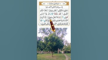 SURAH AL TIN  سوره التين Egzon Ibrahimi #egzonibrahimi #surahattin #shots #trending #Asad