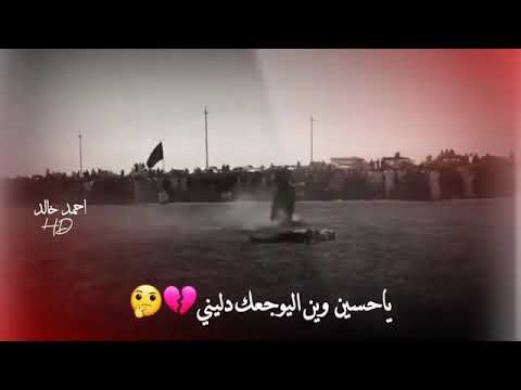 حالات وتساب مسلم الوائلي يحسين وين اليوجعك دليني
