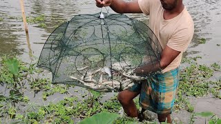Best Fishing Technology | Catching Fish by Umbrella-குடை பொறி மூலம் மீன்பிடித்தல்