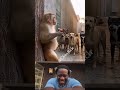 Monkey 🐒 vs Dogs 🐕 #reels #comedy #funny #laugher #trending #youtubeshorts #fyp #viral #shorts