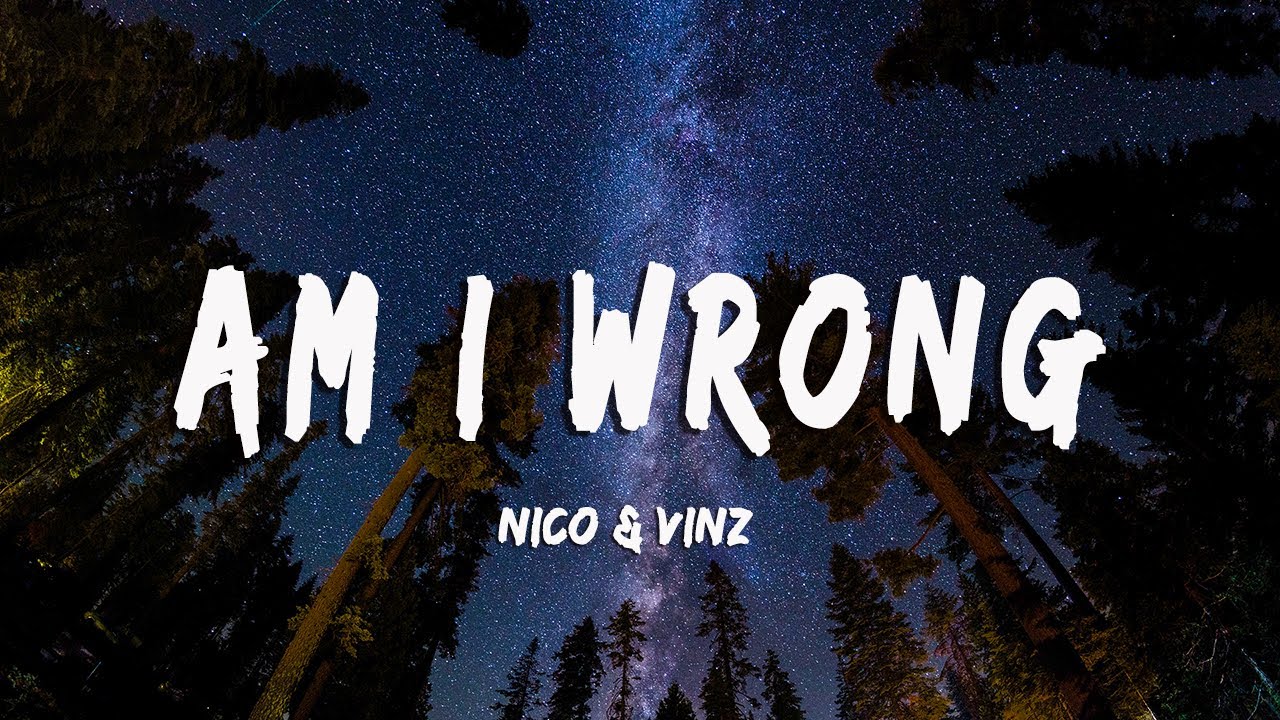 Nico  Vinz   Am I Wrong LyricsVietsub