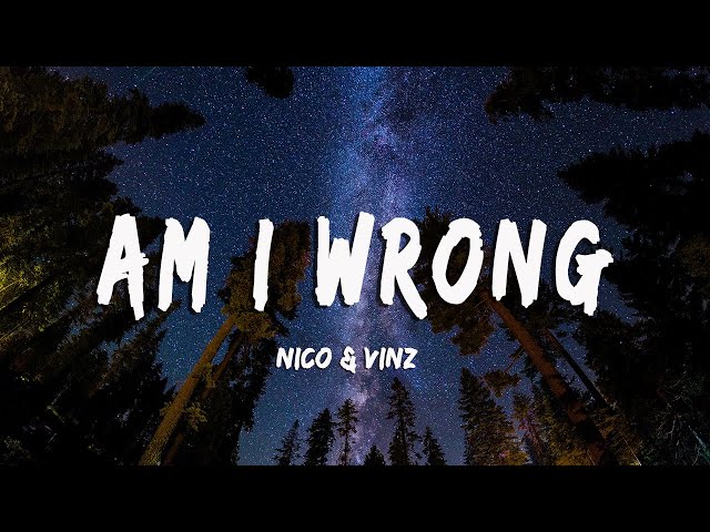 Nico & Vinz - Am I Wrong (Lyrics/Vietsub) class=