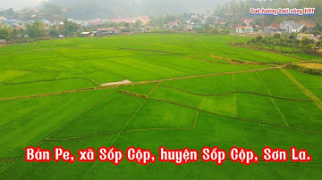Bàn Pe, xã Sốp Cộp, huyện Sốp Cộp, TP Sơn La