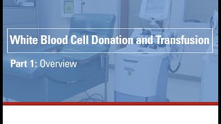 White blood cell donation and transfusion - part 1: Overview screenshot 5