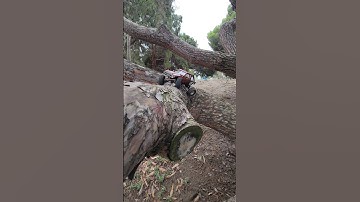 #scx24 #moforc #meusracing #mazzdesigns #injora #rcsteve710links #rccrawler