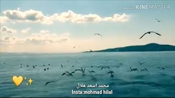 ارح قلبك (ان الابرار لفي نعيم ) تلاوة خاشعة القارئ " محمد اسعد هلال "