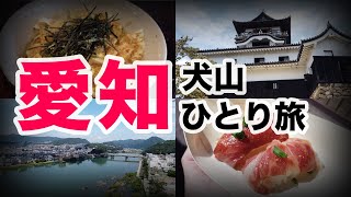 【愛知ひとり旅】国宝犬山城を観光！ 城下町で観光しながら食べ歩き