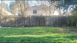 Download Lagu Good Morning in Paradise MP3