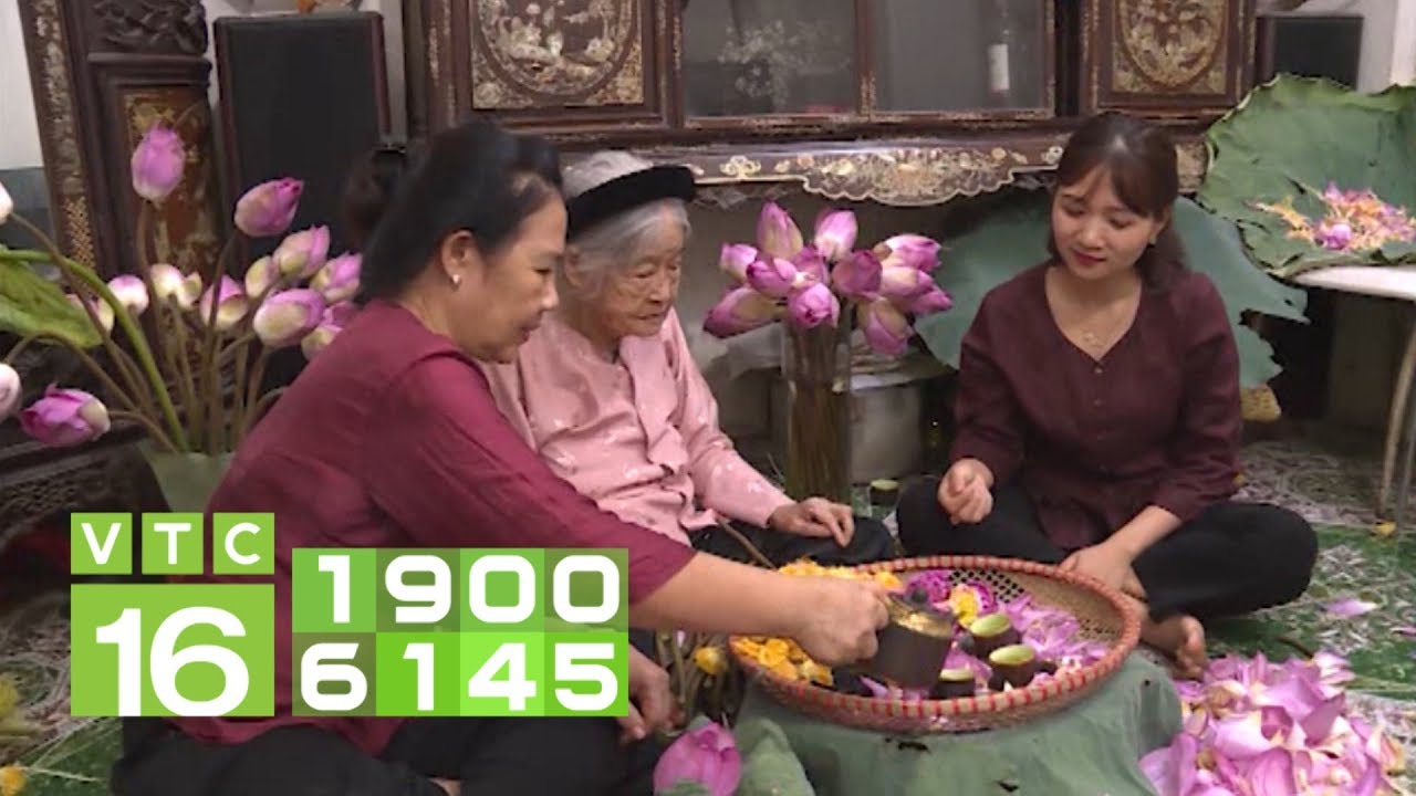 Trà sen Hồ Tây: Thiên cổ đệ nhất trà | VTC16