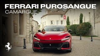 The Ferrari Purosangue - an experience unlike any other Resimi