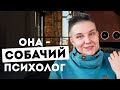 Может ли БУЛЬТЕРЬЕР ЗАГРЫЗТЬ РЕБЕНКА? ФАКТЫ О СОБАКАХ и как поправить им психику: дрессировка щенка!