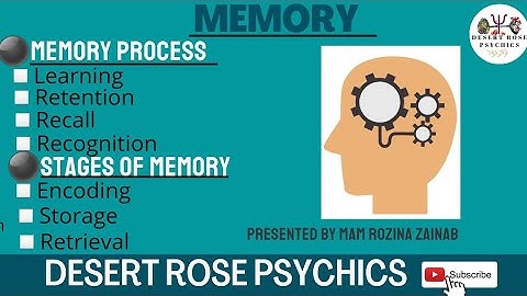 What is Memory in Cognitive Psychology | Process of Memory | Stages of Memory | in Urdu & Hindi | 08