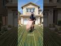 Insane Bamboo Driveway Transformation ✨