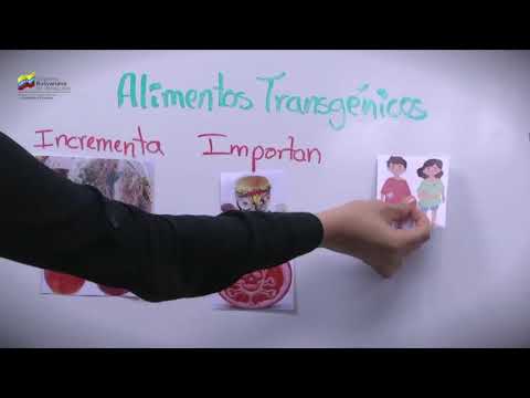 Video: ¿Cuáles son los efectos positivos de los transgénicos?