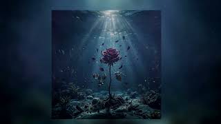 Silence Remains - Fading Light