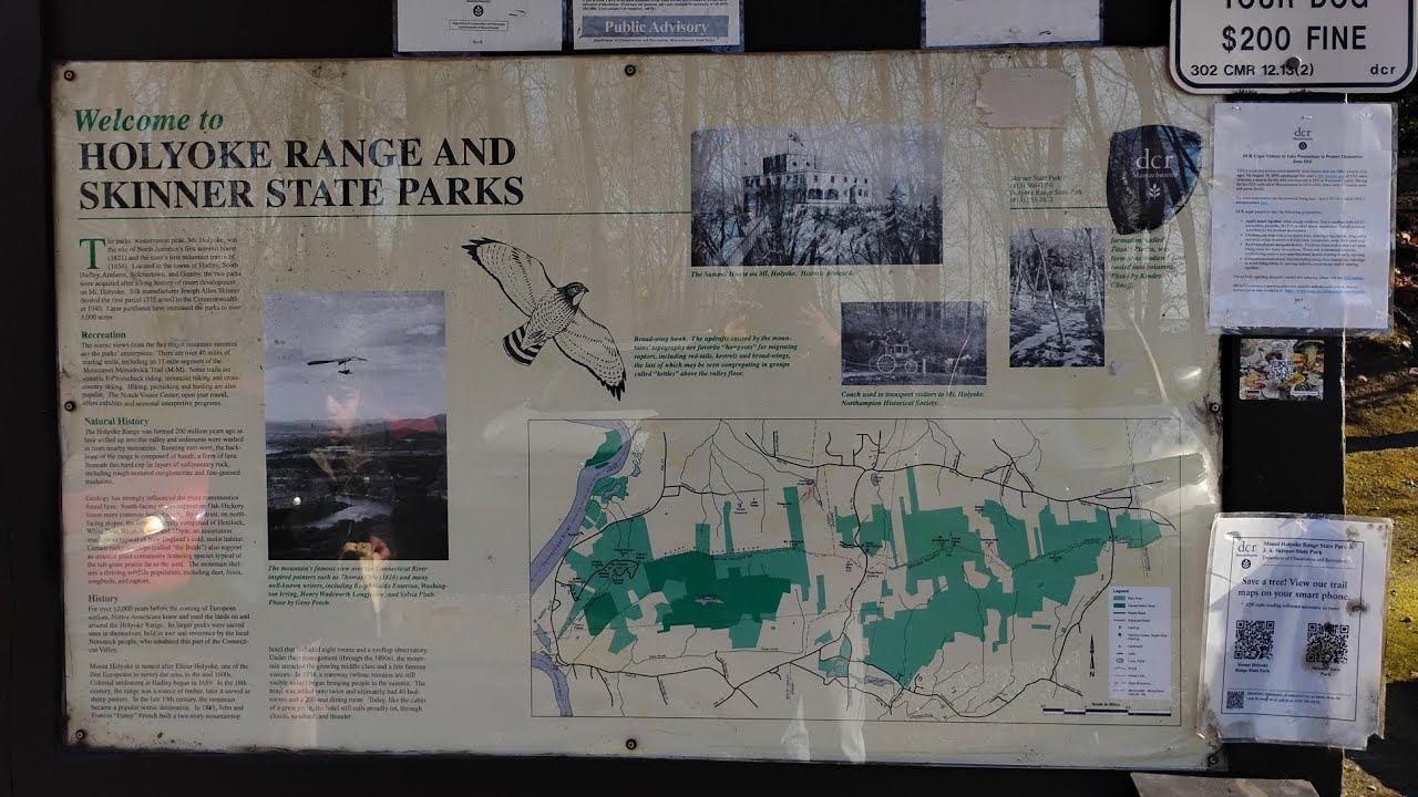 Climbing Mountain Skinner