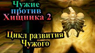 Прохождение Aliens versus Predator 2 (Чужие против Хищника 2) - часть 15 - Цикл развития Чужого