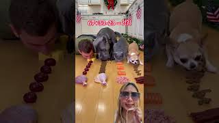 @GoofusTheGobbler Walahhh lomba makan #dubbing #shorts #shortvideo #funny