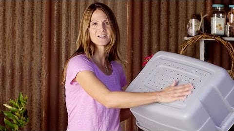 Worm Composting 101: How to Make & Use a Simple Worm Bin w/ Emily Murphy