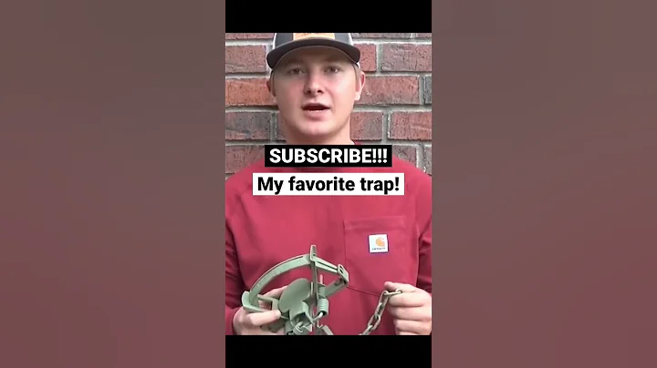 My all time favorite #trap Anyone else doing any #trapping right now?! #coyote #bobcat #nature