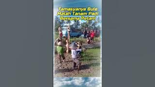 A Different Kind of Foreigner Outing!!! They Go Down to the Rice Fields and Help Farmers Plant Ri...