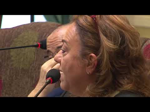 الأستاذة عزة المقهور خطة العمل من أجل ليبيا خط ة الأستاذ غس ان سلامة التفاصيل والملاحظات