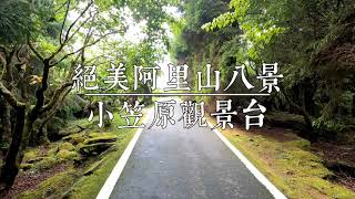 【霽錄台灣】絶美阿里山八景|小笠原觀景台