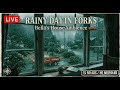 🍎 LIVE: study with bella | rain at the swan house in forks (no ads)