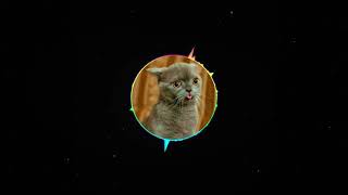 No Method Let me Go  DJ CAT