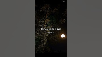 اجر لي ولكـم 🕊️🌷#كلير_تحبكم#قران_كريم#اكسبلور#راحة_نفسية#لايك#سورة_الواقعة#شريف_مصطفى#حالات_واتس