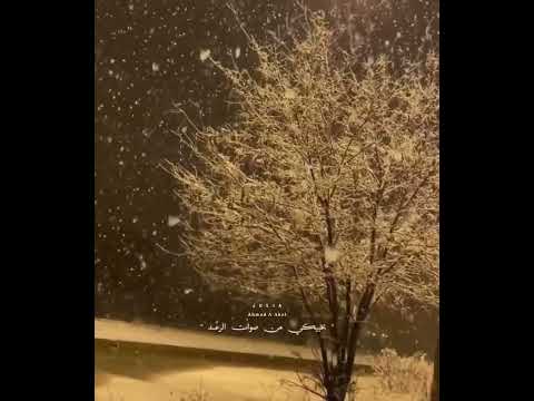 اغاني وائل كفوري ليل ورعد ليكي برا جنون البرد شلع ورقات الوردة