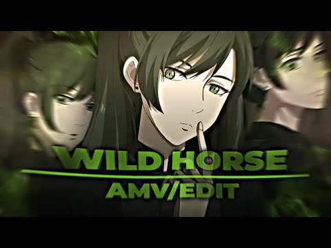 akira toudou edit, wild horse