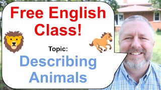 Let's Learn English! Topic: Describing Animals! 🐎🦁🐕