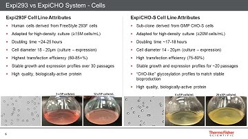 Strategies for High-Titer Protein Expression Using the ExpiCHO and Expi293 Transient...