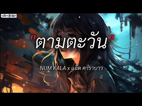 ตามตะวัน - NUM KALA x แอ๊ด คาราบาว (เนื้อเพลง)