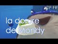 Ytp fr la dorure de mondy