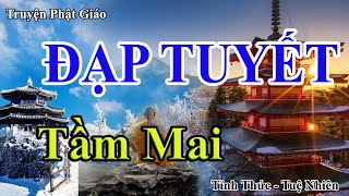 Truyện Phật Giáo | ĐẠP TUYẾT TẦM MAI | Kể truyện đêm khuya | Tỉnh Thức Tuệ Nhiên