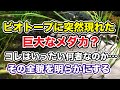 ビオトープに突然現れた巨大なメダカ？コレはいったい何者なのか・・・全貌を明らかにする
