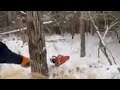 How NOT to Cut Down a Tree