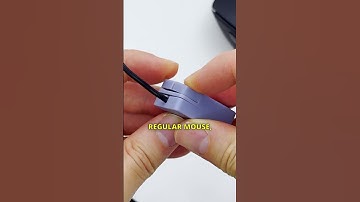 Tiny Mouse Inside a Regular Mouse?