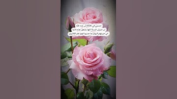 #تلاوة_خاشعة #إسلام_صبحي #تلاوة_مؤثرة#حالات#صوت_يريح_القلب #قرآن #صلوا_علي_النبي #تلاوة_مميزة