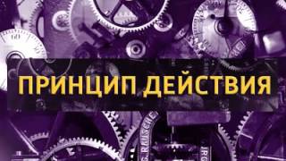 Вести FM. Принцип действия. 18.06.2015. Константин Семин. Людей нужно заново учить думать