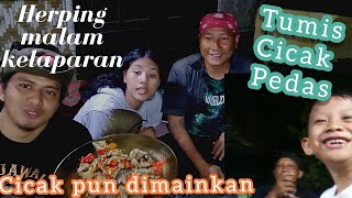 Finished Herping at night | Hungry || Cooking lizards